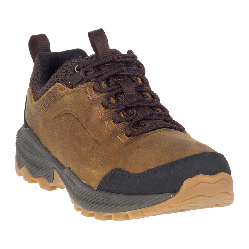 Chaussures Randonnée Merrell Forestbound Marron Homme | D.I.SIHR